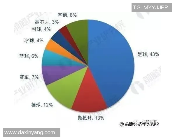 河北地区有哪些知名足球星球及其发展现状与影响力解析
